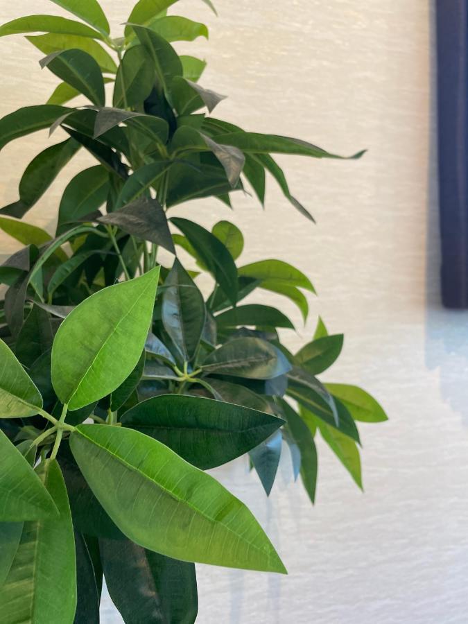 Niseko Hotel Kiraku Kou מראה חיצוני תמונה